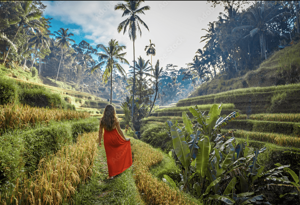 Sustainable Fashion Brands from Bali that you need to know about